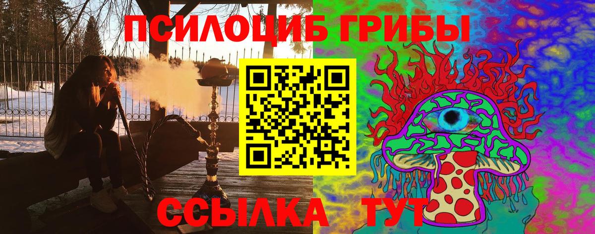 Псилоцибиновые грибы мицелий Домодедово